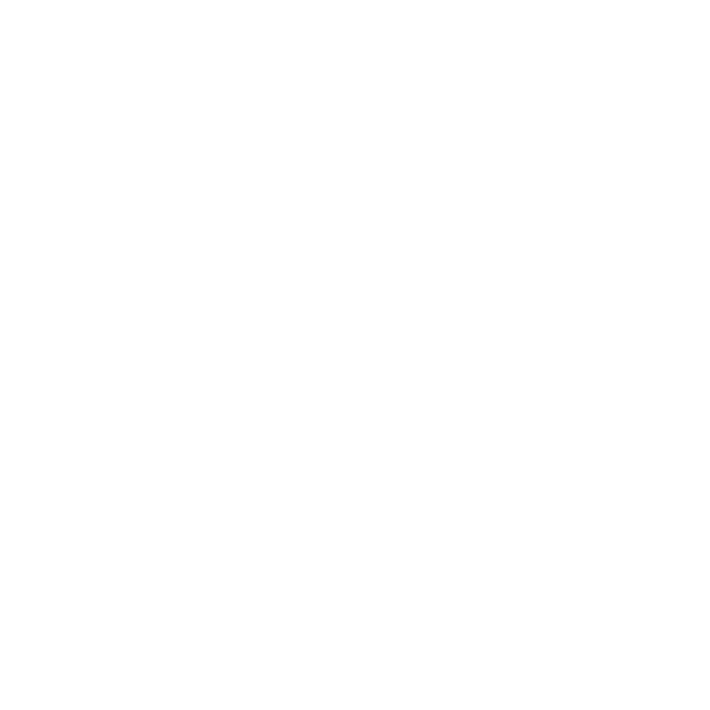 Dr. Barbara Sturm Logo