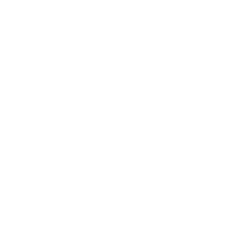 Logo von Roger Vivier