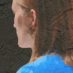Verkaufsassistent/in visual